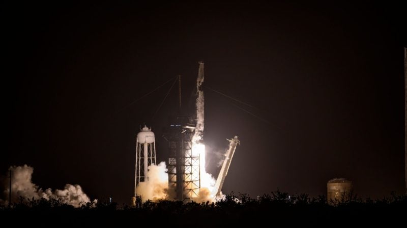 An Bord einer Falcon 9-Rakete von SpaceX wurde «Lignosat» ins All befördert.