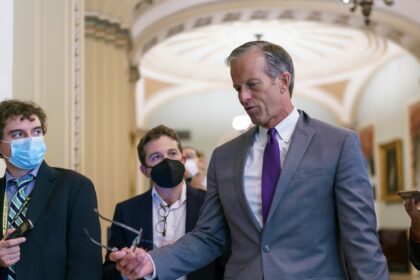 US-Senat: Republikaner John Thune wird der Mehrheitsführer