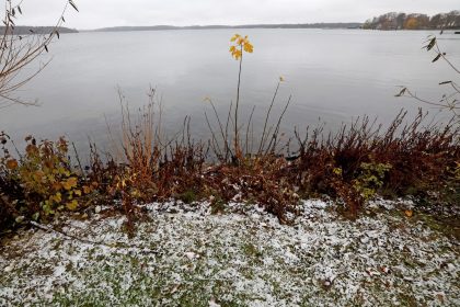 Schauer, Graupelgewitter und Schnee erwartet