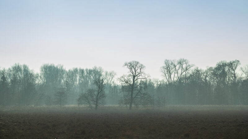 Wenn früh die graue Dämm’rung flieht – von Sophie Albrecht