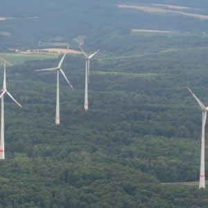 Studie: Diese Schäden verursachen Windkraftanlagen am Wald