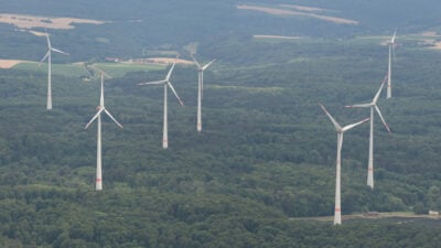 Studie: Diese Schäden verursachen Windkraftanlagen am Wald