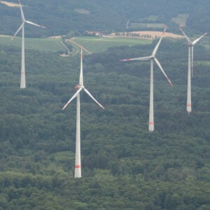 Studie: Diese Schäden verursachen Windkraftanlagen am Wald