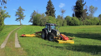 Naturschutz: Deutschland erneut vor dem EuGH verurteilt – hohe Geldstrafen drohen