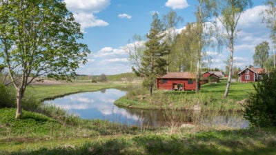 Selma Lagerlöf: „Die wunderbare Reise des kleinen Nils Holgersson mit den Wildgänsen“