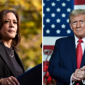 Trump oder Harris? So steht es in aktuellen Umfragen