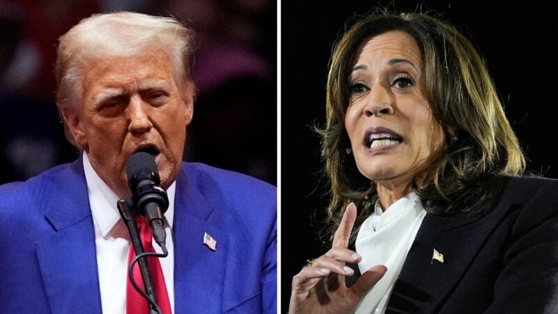 Hoffen auf Erfolg in den „Swing States“: Donald Trump und Kamala Harris.