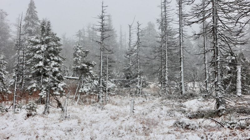 Tief „Quiteria“ bringt Sturmböen und Schnee