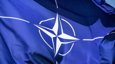 Trump droht Verbündeten erneut mit US-Austritt aus der NATO