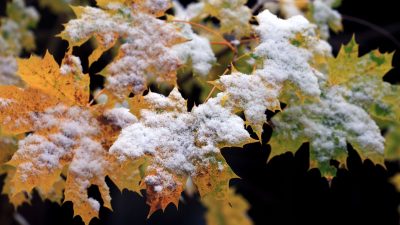 Ein erster Hauch von Winter