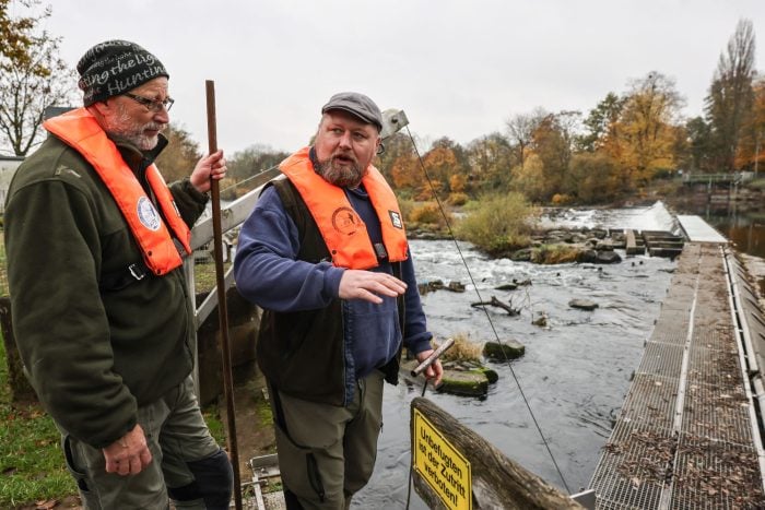 Fischwirt Dennis Bock (links) und Fischwirtschaftsmeister Sven Wohlgemut helfen deutschen Wildlachsen bei der Fortpflanzung.