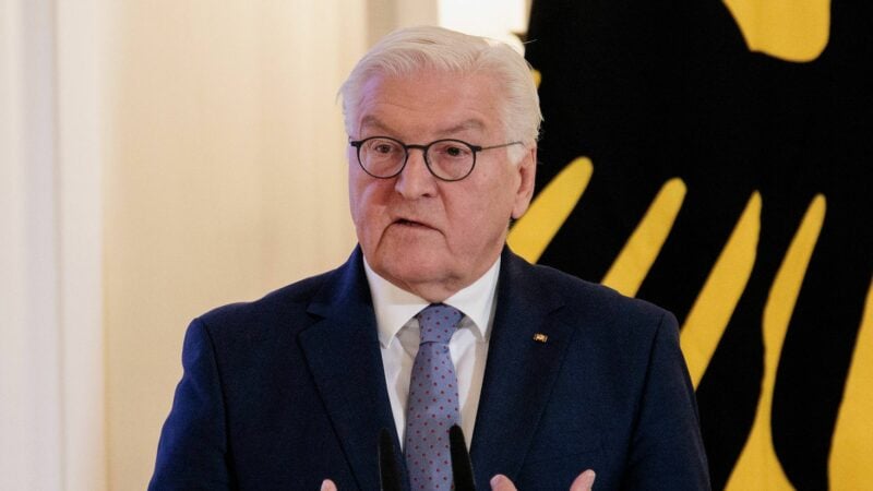 Bundespräsident Frank-Walter Steinmeier im Schloss Bellevue. (Archiv)