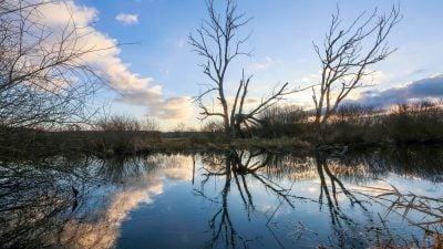 Wetter: Milder und unbeständiger Start in die Woche