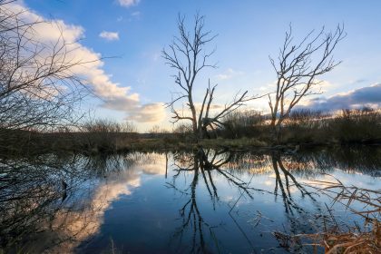 Wetter: Milder und unbeständiger Start in die Woche