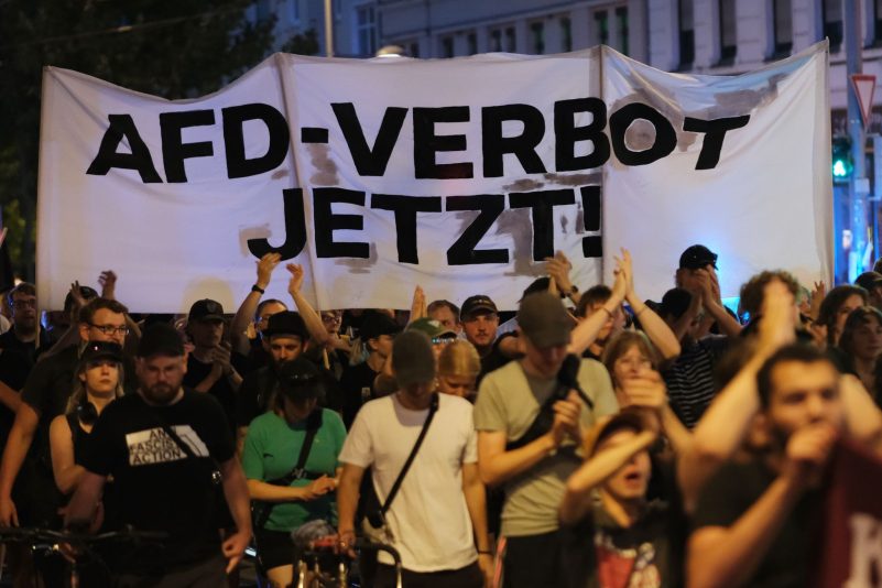 Bei Demonstrationen wird häufig der Ruf nach einem Verbot der AfD laut. Über einen Verbotsantrag müsste in jedem Fall das Bundesverfassungsgericht entscheiden.