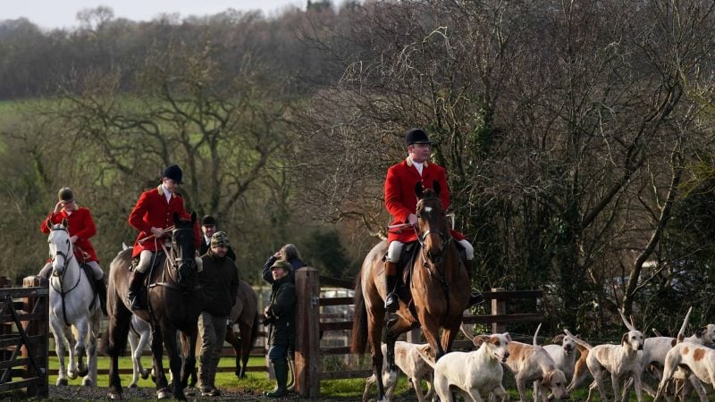 Großbritannien: Laute Forderungen nach Jagdverbot