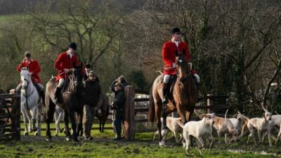 Großbritannien: Laute Forderungen nach Jagdverbot