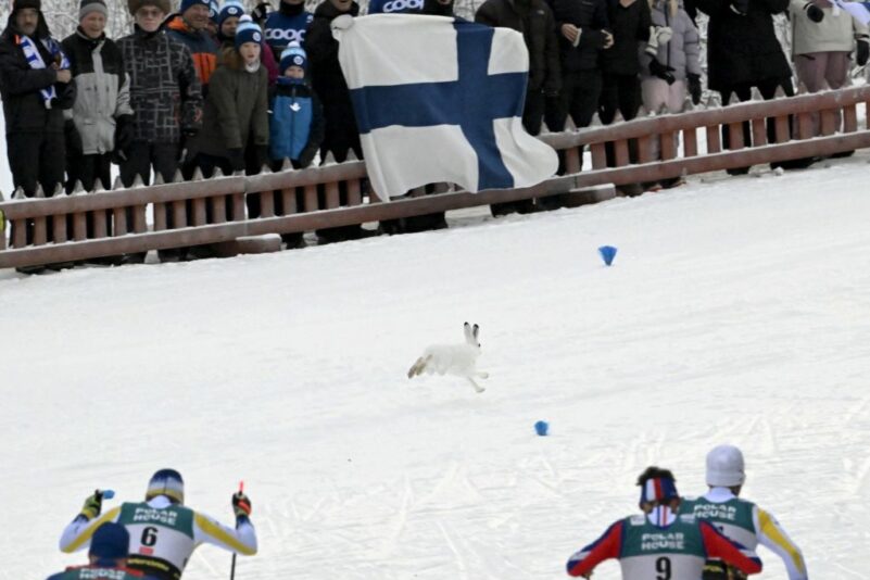 Titelbild