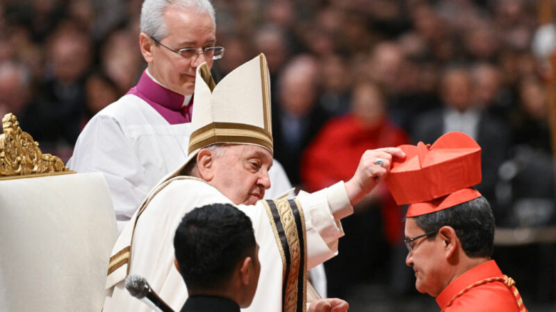 Papst Franziskus ernennt 21 neue Kardinäle