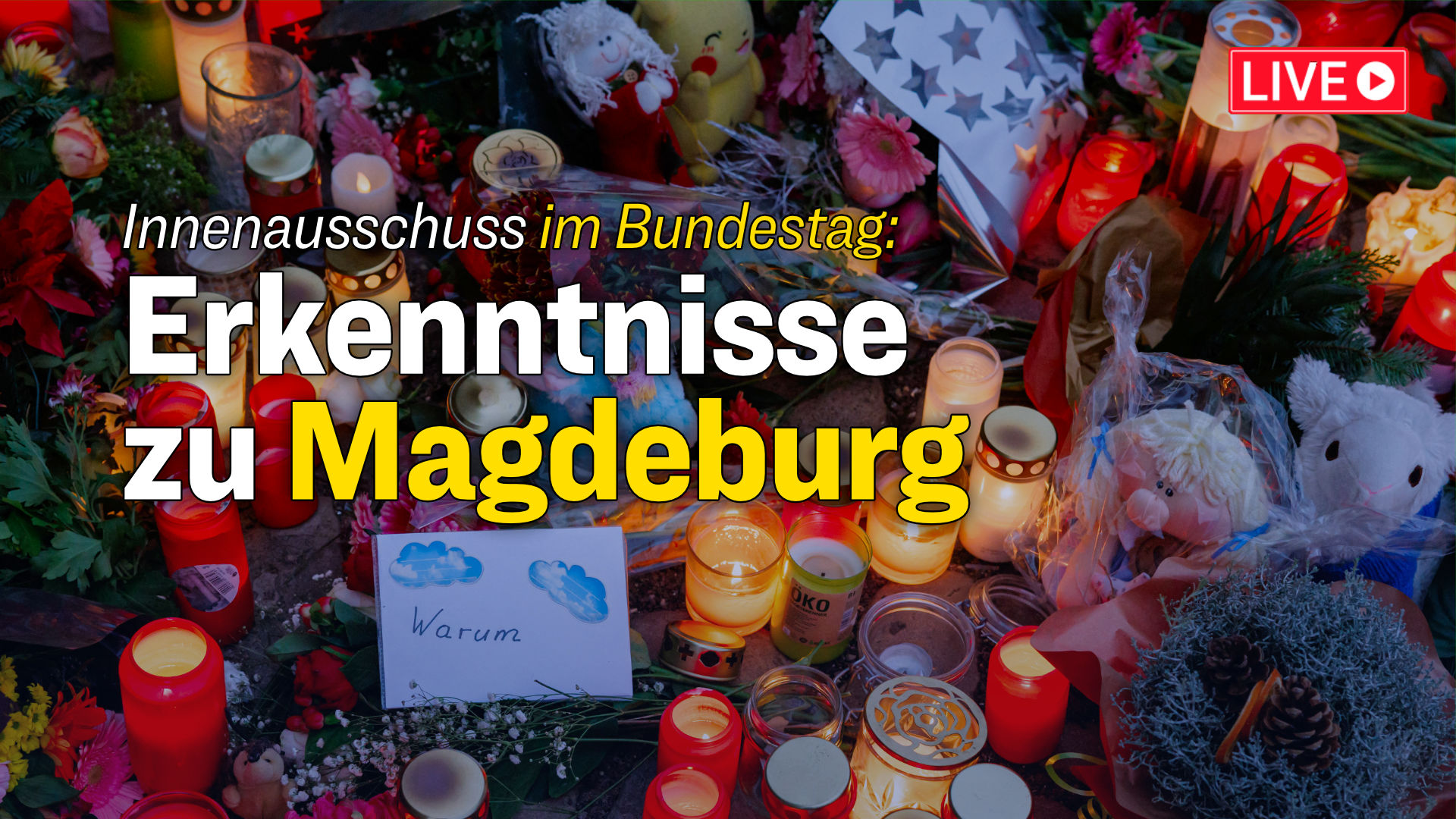 [Live gegen 16:00 Uhr] Innenaussschuss: Erkenntnisse zum Anschlag auf dem Weihnachtsmarkt in Magdeburg