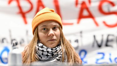 Schweden: Oberstes Gericht weist Klage von Greta Thunberg und rund 300 Klimaaktivisten ab