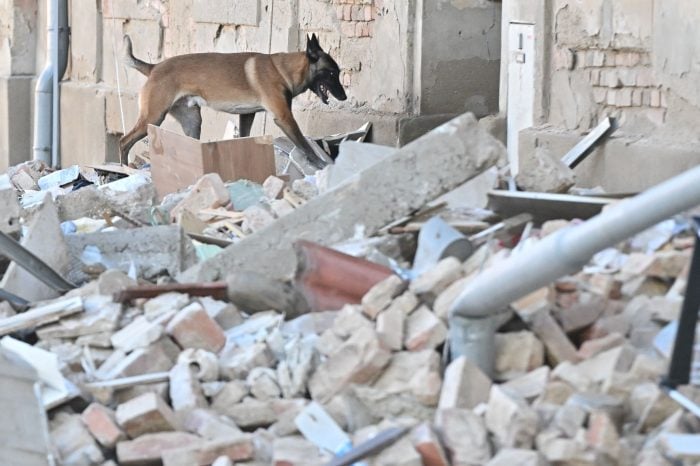 Die Trümmer wurden mit einem speziell ausgebildeten Spürhund durchsucht.