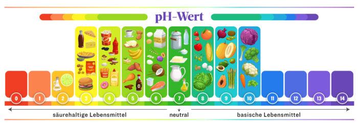 Lebensmittel gegen Osteoporose