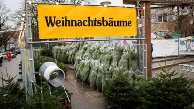 Weihnachtsbaum verheizen oder kompostieren – mieten ist nachhaltiger