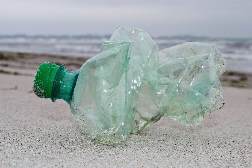 Die Plastikverschmutzung hat in den letzten Jahren weltweit stark zugenommen. (Archivbild)