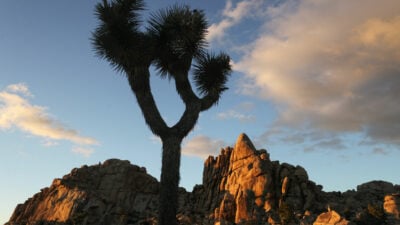 Joe Biden ruft zwei neue „National Monuments“ in Kalifornien aus