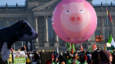 „Wir haben es satt“: Tausende demonstrieren im Regierungsviertel – Traktoren nicht erlaubt