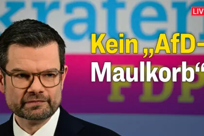 FDP-Buschmann gegen „AfD-Diktat“: Demokraten müssen „sagen, was sie für richtig halten“