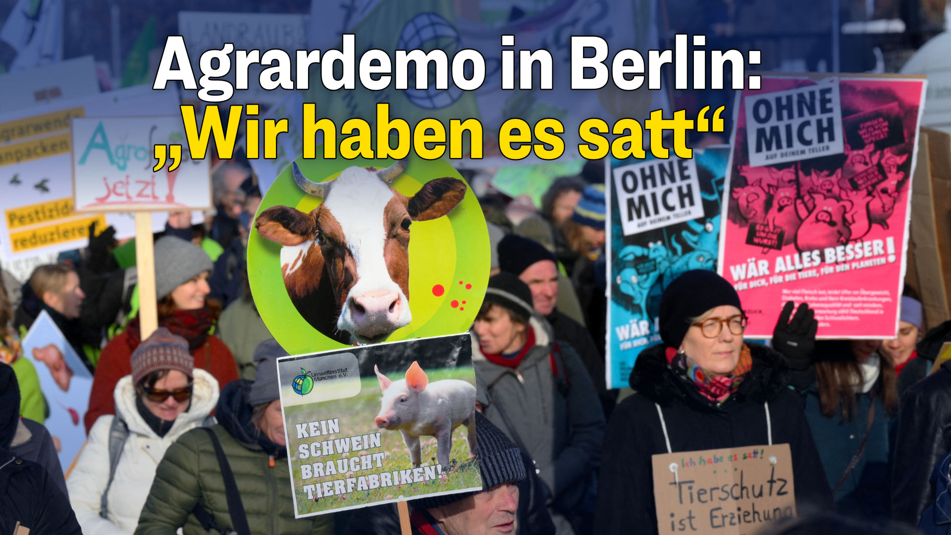 Demo für Agrarwende: „Wir haben es satt“ während Grüner Woche in Berlin