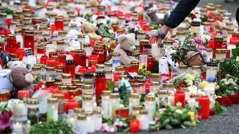 Kerzen und Blumen werden nach dem tödlichen Angriff in einem Park in Aschaffenburg niedergelegt.