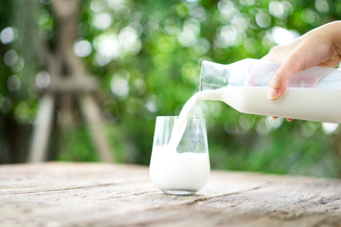 Milch trinken ist gesund?