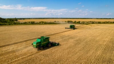 Argentinien unter Milei: Rekord-Exportüberschuss im Jahr 2024