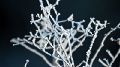 Kälte und Glättegefahr am Dienstag