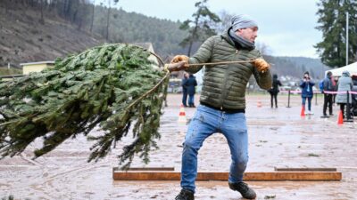 Gent: „Essen Sie Ihren Weihnachtsbaum“