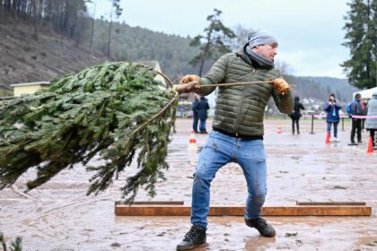 Gent: „Essen Sie Ihren Weihnachtsbaum“
