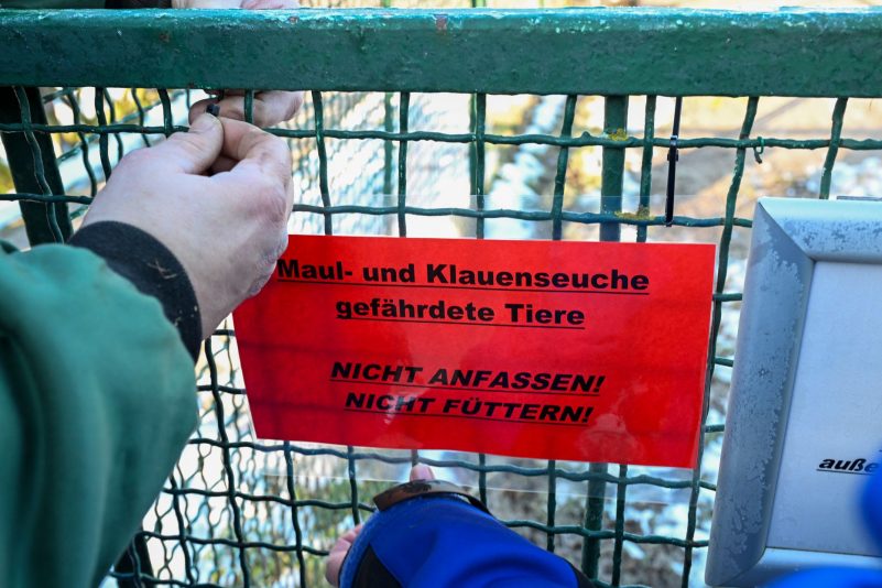 Großbritannien reagiert auf den Ausbruch der Maul- und Klauenseuche in Deutschland mit verschärften Regeln.
