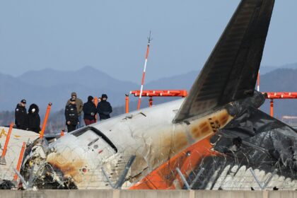 179 Tote in Südkorea: Black-Box-Daten könnten Unfallursache enthüllen