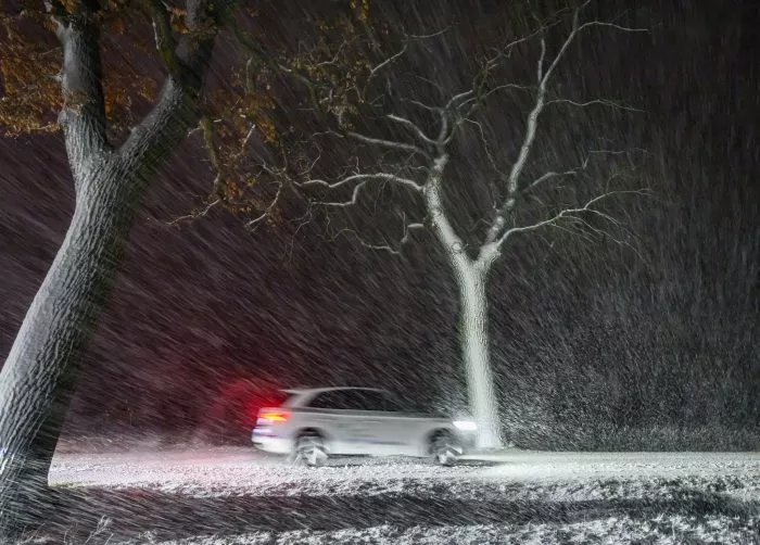 Im dichten Schneetreiben ist ein Auto auf einer Allee im östlichen Brandenburg unterwegs.