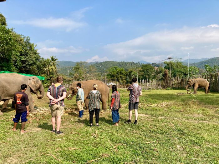 In thailändischen Elefantencamps kommen Touristen den Tieren ganz nahe. (Archivbild)