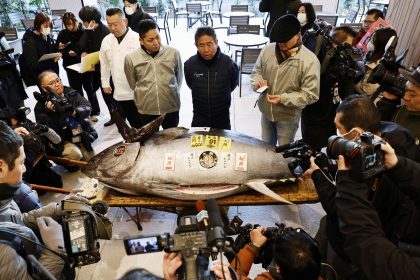 1,28 Millionen Euro für Thunfisch bei Neujahrsauktion in Tokio
