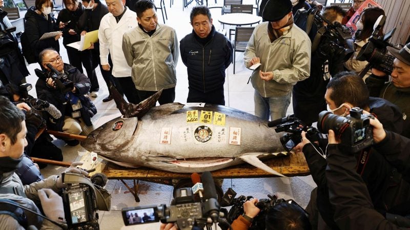 Die erste Auktion eines Thunfisches im Neuen Jahr gilt vielen in Japan als Gradmesser für Glück und Wohlstand.