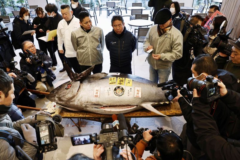 Die erste Auktion eines Thunfisches im Neuen Jahr gilt vielen in Japan als Gradmesser für Glück und Wohlstand.