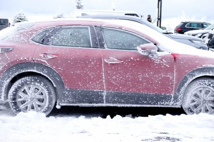 Sturm und Schnee: 33-jähriger Mann von Baum erschlagen