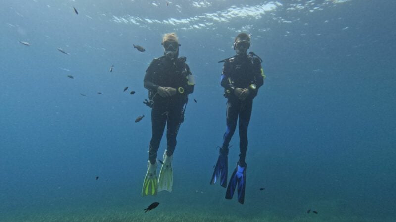 Die Fische scheinen Taucher anhand von Farbmerkmalen ihrer Ausrüstung zu erkennen.