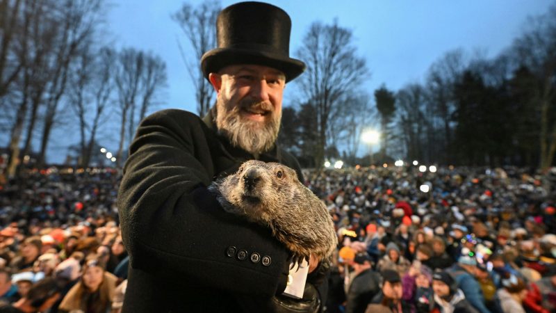 Punxsutawney Phil, das wettervorhersagende Murmeltier, hat sechs weitere Wochen Winterwetter vorausgesagt.