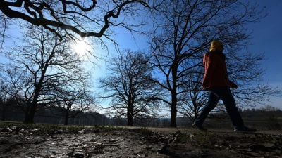 Winterwetter ade: Temperaturen werden zweistellig